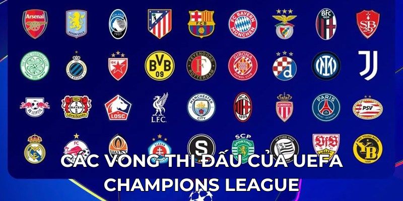 Các vòng thi đấu của UEFA Champions League